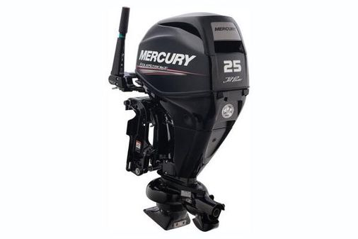 Mercury Fourstroke 25 hp Jet image